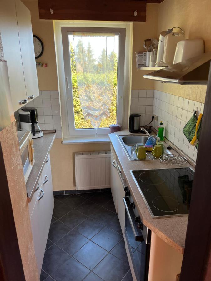 Ferienhaus Guenther Harzgerode/Schielo Exteriör bild